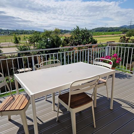 Fewo1 Neuwertige, Grosse 110Qm Fewo Ueber Zwei Etagen Mit Balkon Im Aussenbereich Riegel am Kaiserstuhl Exterior photo